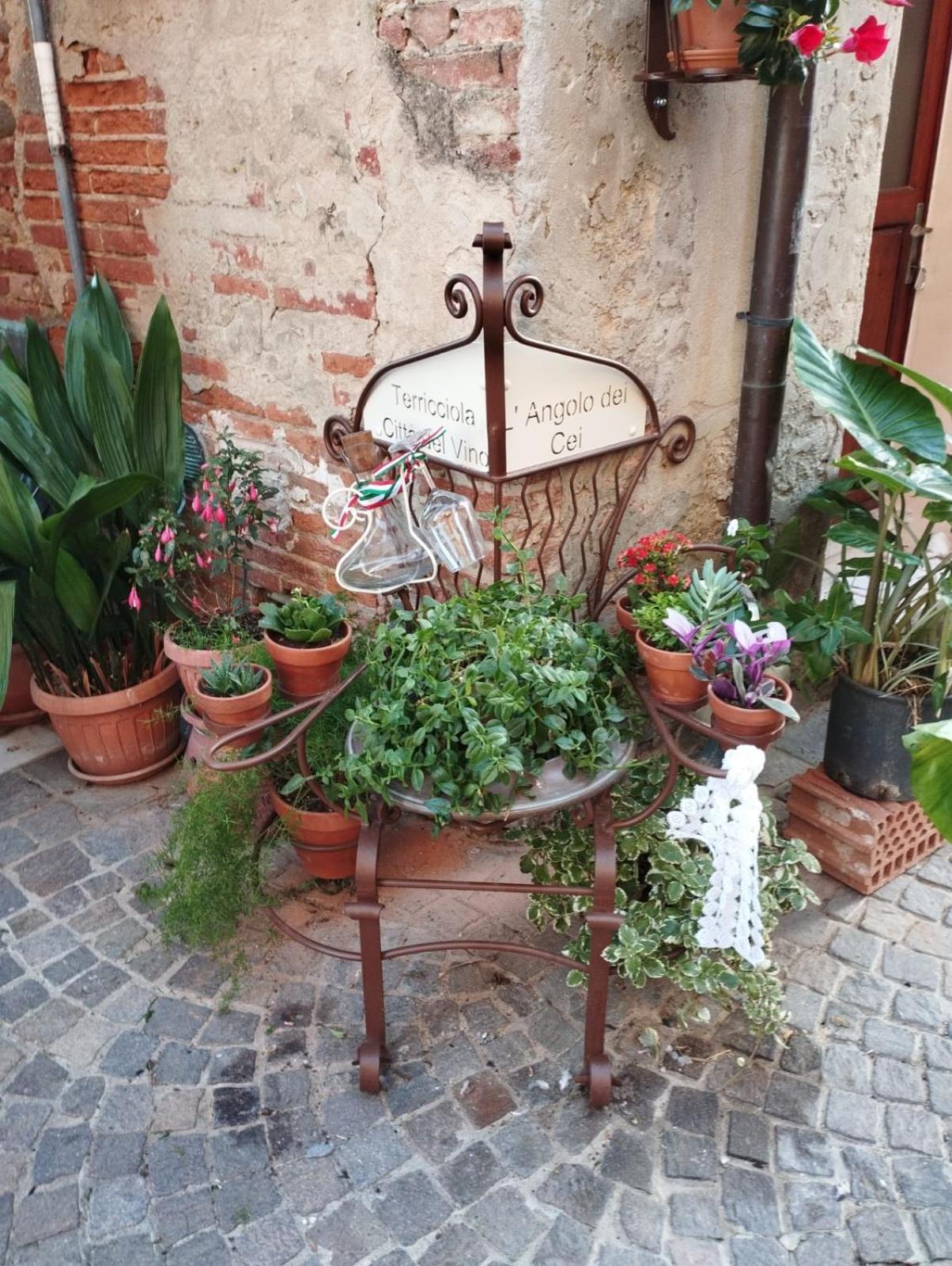 Angolo Della Cei Terricciola 外观 照片